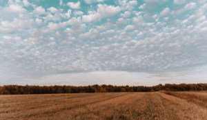 Kansas Farmground Stock picture
