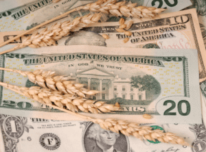 Commodities money and wheat