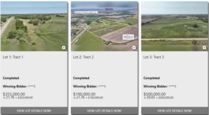 Multi-Parcel Auction